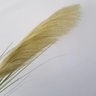 Haste Pluma Capim Dos Pampas Artificial 100cm - 4