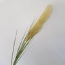 Haste Pluma Capim Dos Pampas Artificial 100cm - 2