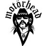 Adesivo de Parede Motorhead - Dourado - 2