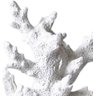 Enfeite Coral de Resina para Ornamento Artificial de Aquário - 2
