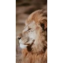 Ver imagem 4 de Quadro MDF - Lion King - 25cmx50cm