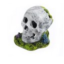 Ver imagem 1 de Enfeite Oxigenador Para Aquários Caveira Crânio