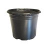 Kit 100 Vasinhos 06 Produtor Mini Cacto Suculenta 90Ml - 1