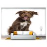 Papel De Parede Animais Cachorro Sentado 3D Anm244 3M² - 1