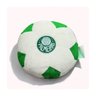 Almofada Bola Pelúcia Palmeiras - 1
