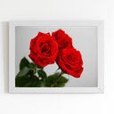 Ver imagem 1 de Quadro Rosas Três Flores Decorativo Moldura Branca 60x40cm