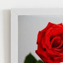 Ver imagem 2 de Quadro Rosas Três Flores Decorativo Moldura Branca 60x40cm