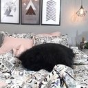 Ver imagem 5 de Jogo De Cama Casal Comum 7 Peças Paris Com Almofada Pelos