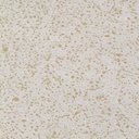 Ver imagem 5 de Jogo 6 Pratos Fundos 25cm 830ml Bio Vanilla Orgânico Cerâmica Porto Brasil Mesa Posta Sopas Caldos