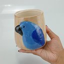 Ver imagem 3 de Cachepô Vaso Decorativo Home&Co Cerâmica 12x12x12cm Azul