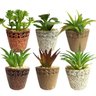 Conjunto Com 6 Cachepot Vaso Cerâmica Suculenta Artificial Imã Geladeira - 1