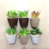 Conjunto Com 6 Cachepot Vaso Cerâmica Suculenta Artificial Imã Geladeira - 4
