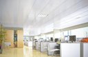Ver imagem 1 de Forro de Pvc Modular / Removível 1250 X 625 X 10mm C/ 13 Pçs Branco - Plasbil
