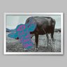 Quadro Frase Vegetariano Lover Cows - 20x30cm - Moldura Caixa Branco - 1