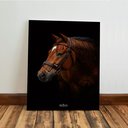 Ver imagem 6 de Kit3 Quadro Decorativo Rancho Cavalo Fazenda Estábulo Quarto Qualidade Premium 28x20cm