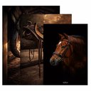 Ver imagem 3 de Kit3 Quadro Decorativo Rancho Cavalo Fazenda Estábulo Quarto Qualidade Premium 28x20cm