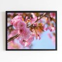 Ver imagem 1 de Quadro Decorativo Fotografia Flores Rosas