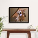 Ver imagem 2 de Quadro Decorativo Fotografia Labrador