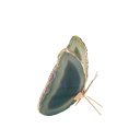 Ver imagem 1 de Borboleta Em Pedra Àgata Decorativa Com Ouro