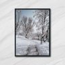 Quadro Decorativo Fotografia Paisagem com Neve - 1