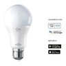Lampada LED 9W - Blumenau - Smart Infinity RGB+CCT | A60 - 806lm E27 - 60029004 - 3