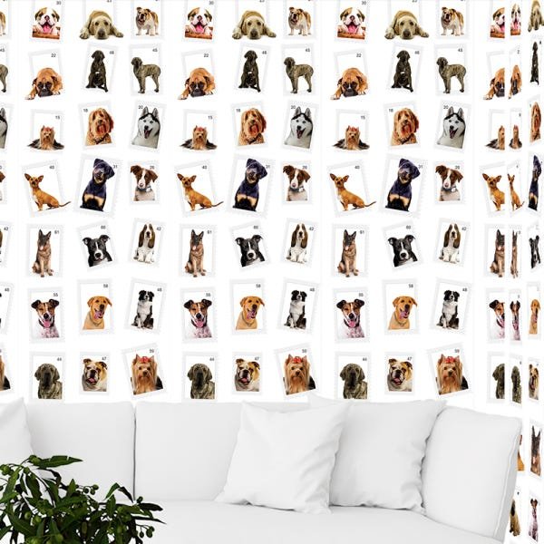 Papel de Parede Adesivo Animal Cachorro - 011 - 1