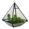Vaso Estilo Triangulo De Vidro Com Suculentas E Pedrinhas - 1
