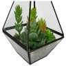 Vaso Estilo Triangulo De Vidro Com Suculentas E Pedrinhas - 3