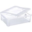 Ver imagem 7 de 2 Caixas Organizadoras Plásticas 13,5L Ordene com Tampa Radical Color Transparentes