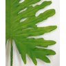 Planta Verde Folha Imbé Látex Real GG 86cm Vasos e Arranjos - 2