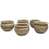 Kit 5 Vasinhos de Suculentas 7x10cm Cor Palha - 2
