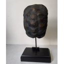 Ver imagem 2 de Casca de Tartaruga Resina