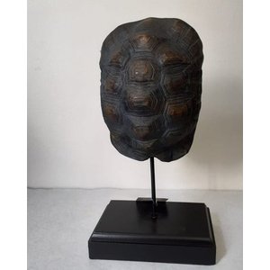 Casca de tartaruga resina
