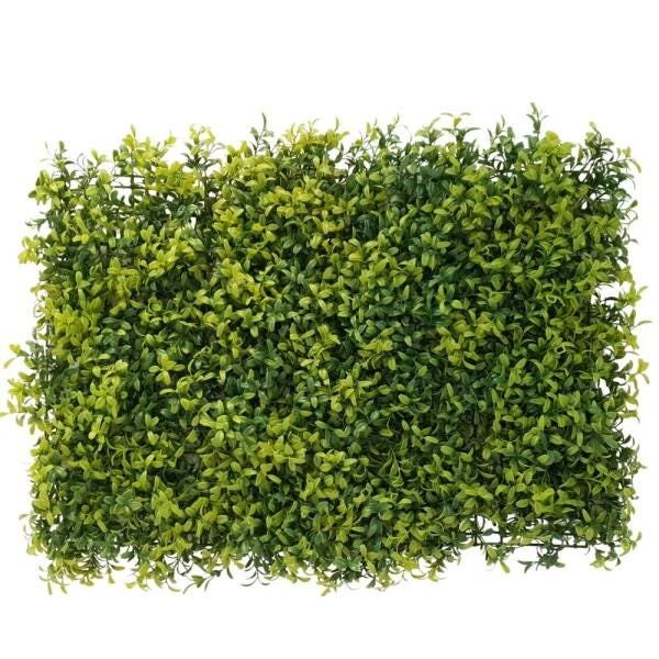 2 Unid. Placa de Eucalipto Premium 60 cm x 40 cm - 1