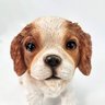 Mini Cachorro Cavalier King Charles Spaniel Decorativo - 8