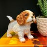 Mini Cachorro Cavalier King Charles Spaniel Decorativo - 3