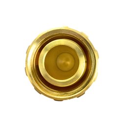 Válvula Adaptadora Rego 1”npt X 1.3/4” em Latão 3175a - 3