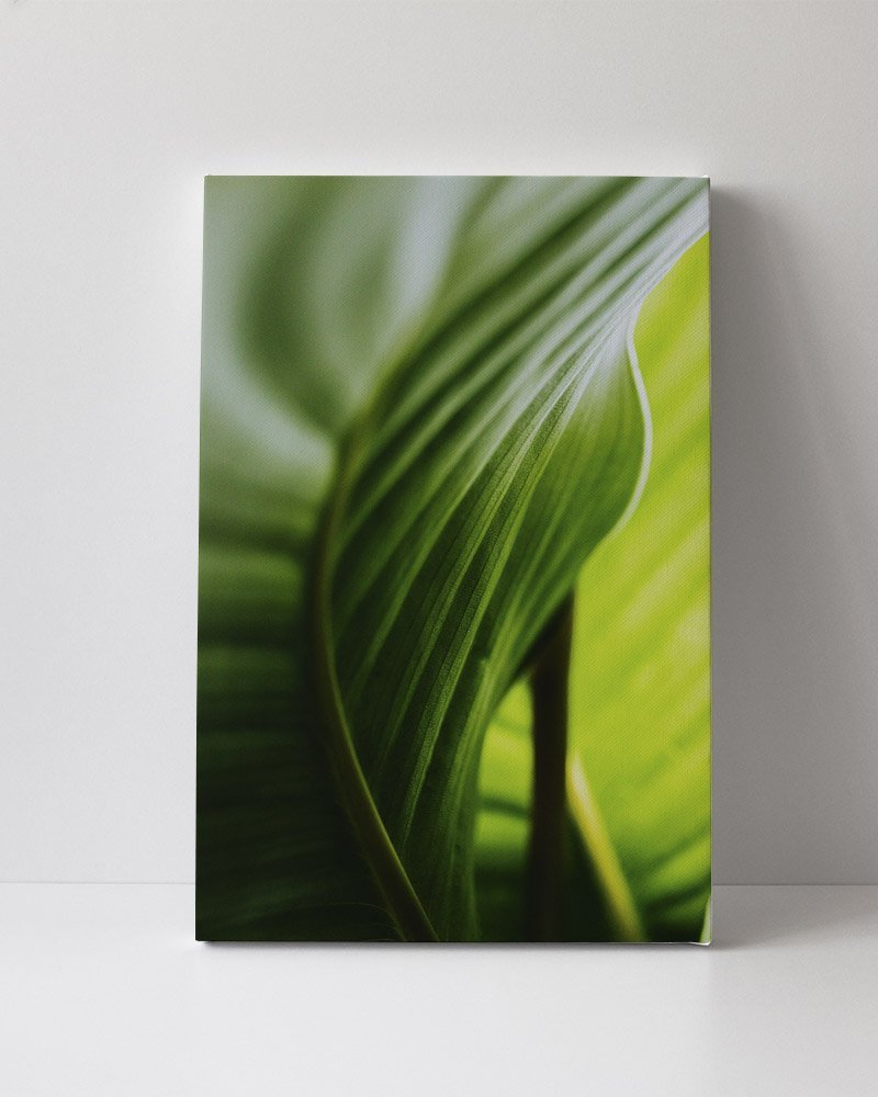 Tela em Canvas 107 - 1