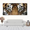 Quadros Decorativo Tigre Olhar Faminto 120x60 Lindo - 1