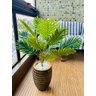Planta Artificial Coqueiro com Lindo Vaso Trabalhado - 4