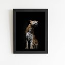 Ver imagem 1 de Onça Pintada Foto Minimalista Quadro Moldura Preta 60x40cm