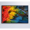 Ver imagem 4 de Quadro Penas Coloridas Arara Amazônia 120x80 Cm