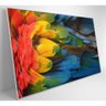 Quadro Penas Coloridas Arara Amazônia 120x80 Cm - 7