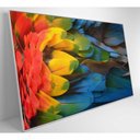 Ver imagem 7 de Quadro Penas Coloridas Arara Amazônia 120x80 Cm