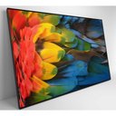Ver imagem 6 de Quadro Penas Coloridas Arara Amazônia 120x80 Cm