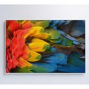 Ver imagem 3 de Quadro Penas Coloridas Arara Amazônia 120x80 Cm