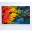 Ver imagem 5 de Quadro Penas Coloridas Arara Amazônia 120x80 Cm