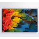 Ver imagem 1 de Quadro Penas Coloridas Arara Amazônia 120x80 Cm