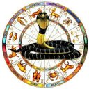 Ver imagem 1 de Toalha Esotérica Serpente Signos Astrologia Transformação