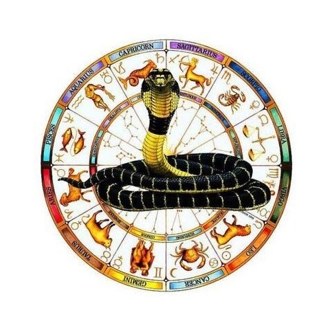 Toalha Esotérica Serpente Signos Astrologia Transformação